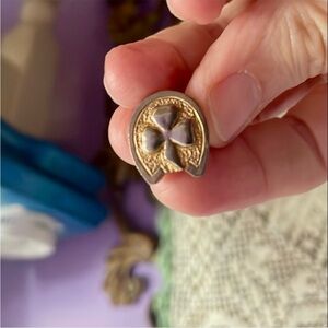 Good Luck Horseshoe Pin
